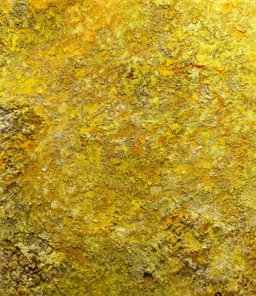 Cristina Babiloni, Num, 2020